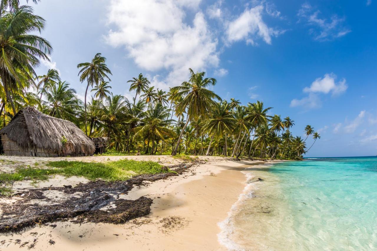San Blas Wild Bed and Breakfast Mamartupo Exterior foto